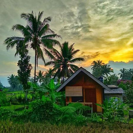 Citra Homestay Tetebatu Kültér fotó
