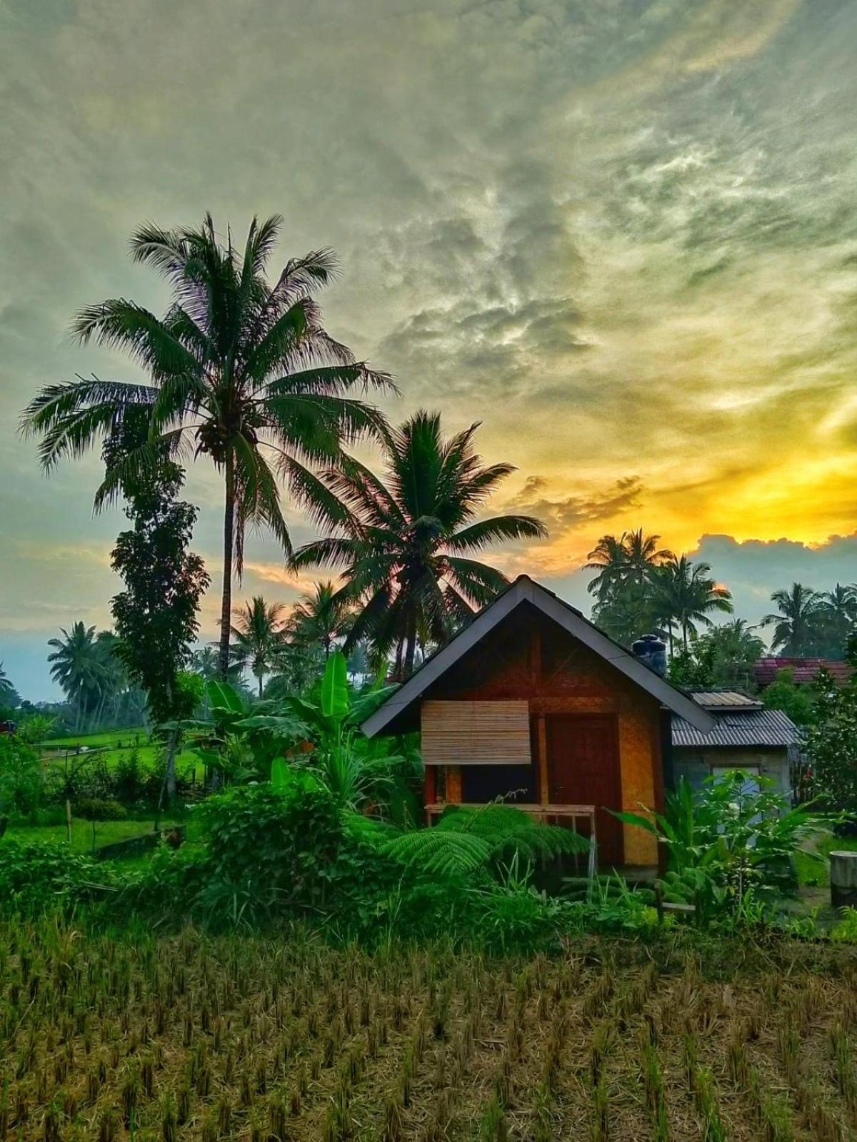 Citra Homestay Tetebatu Kültér fotó