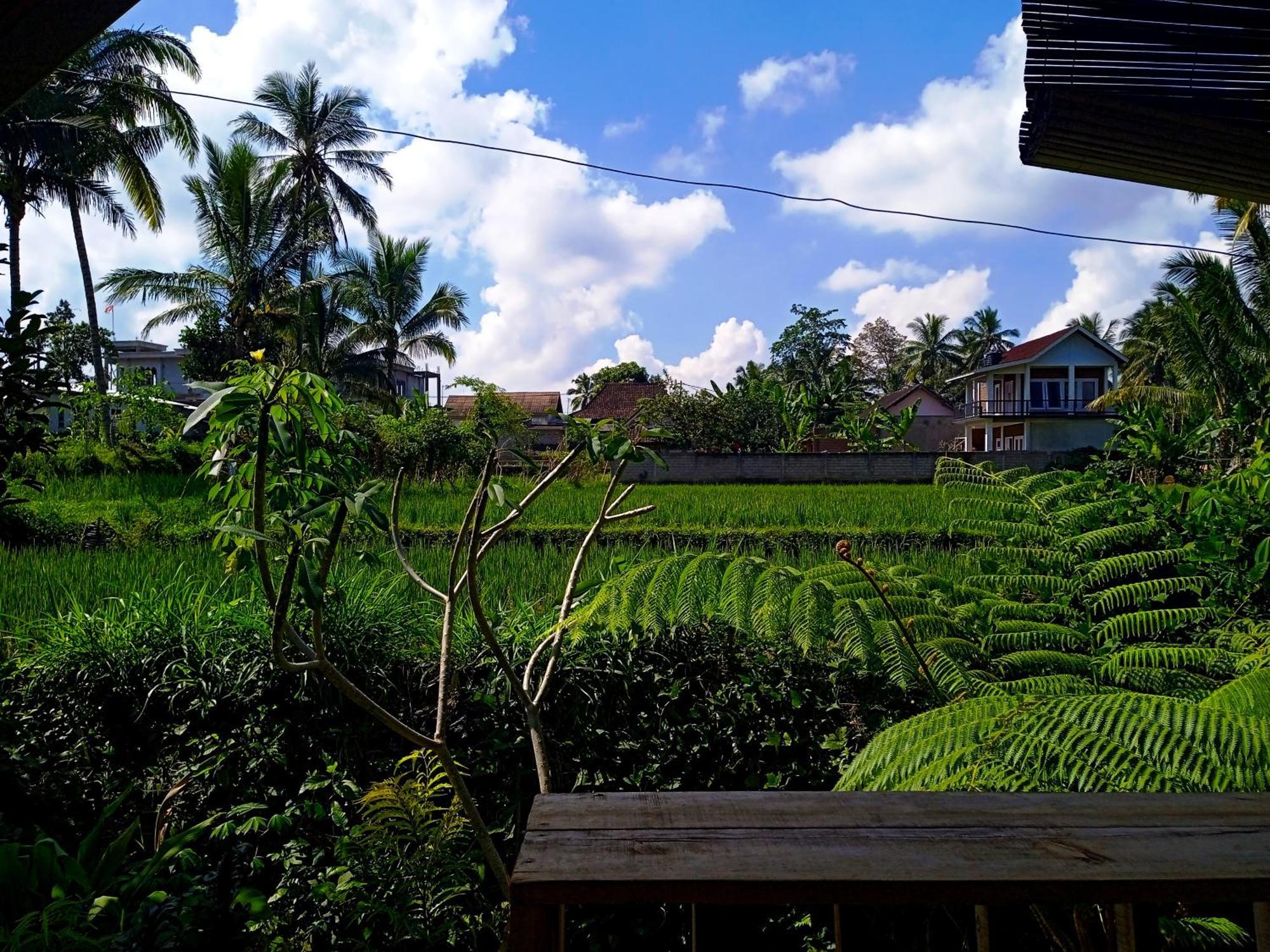 Citra Homestay Tetebatu Kültér fotó
