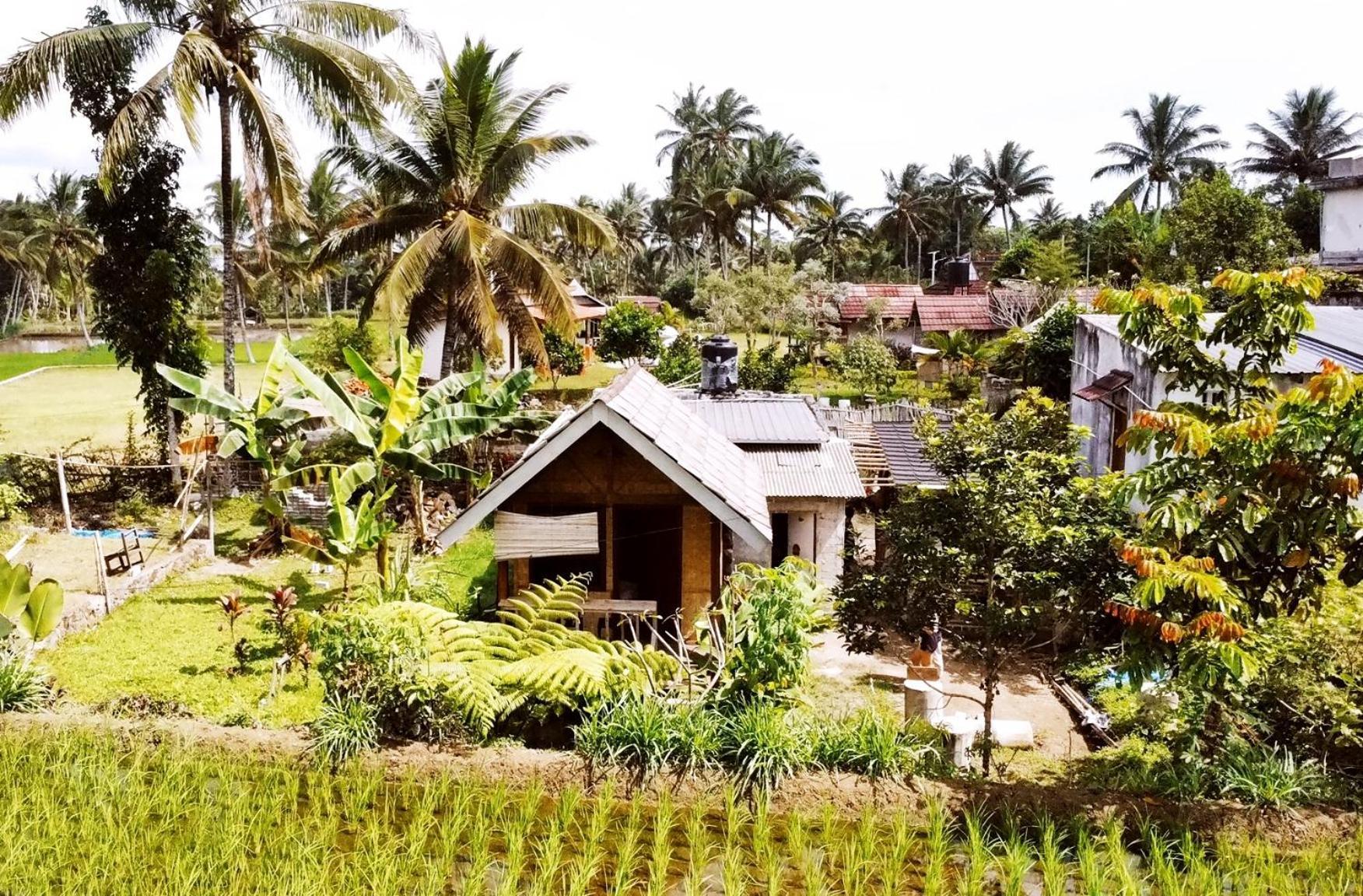 Citra Homestay Tetebatu Kültér fotó