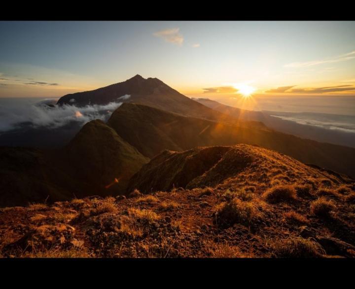 Citra Homestay Tetebatu Kültér fotó