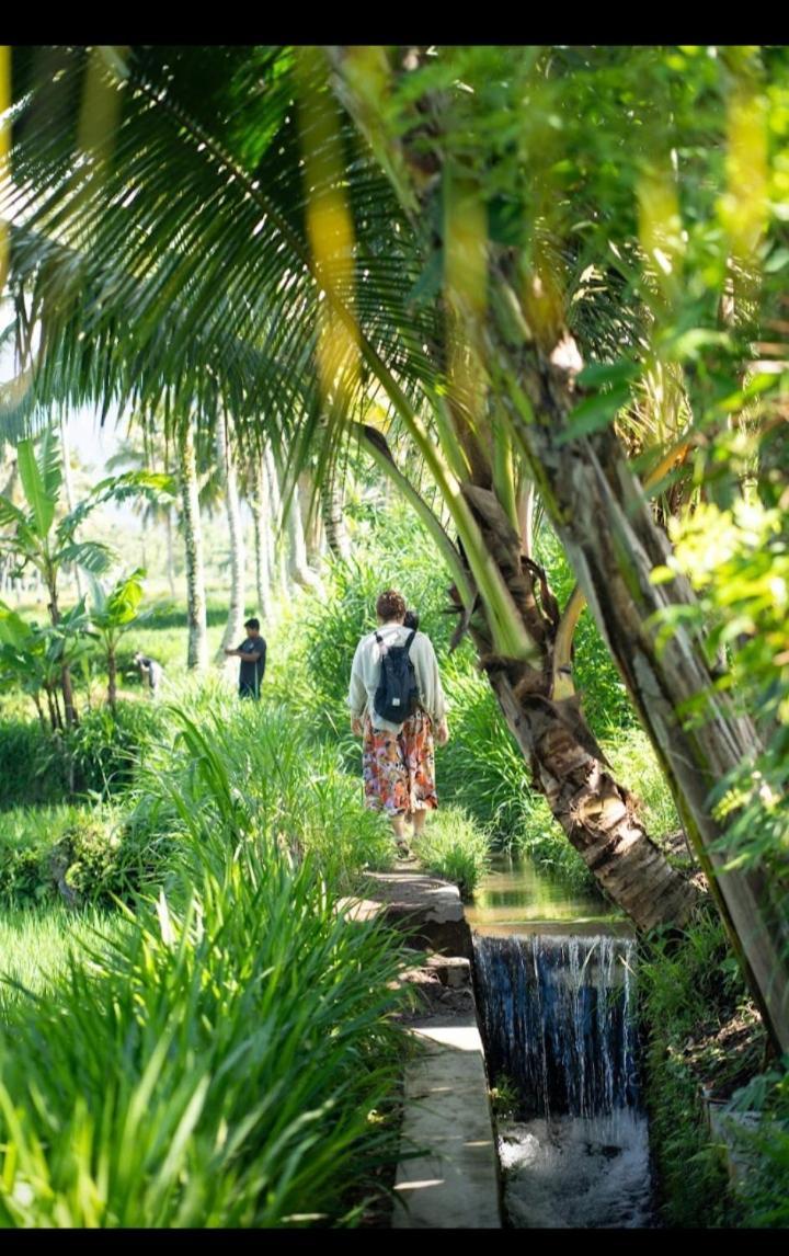 Citra Homestay Tetebatu Kültér fotó
