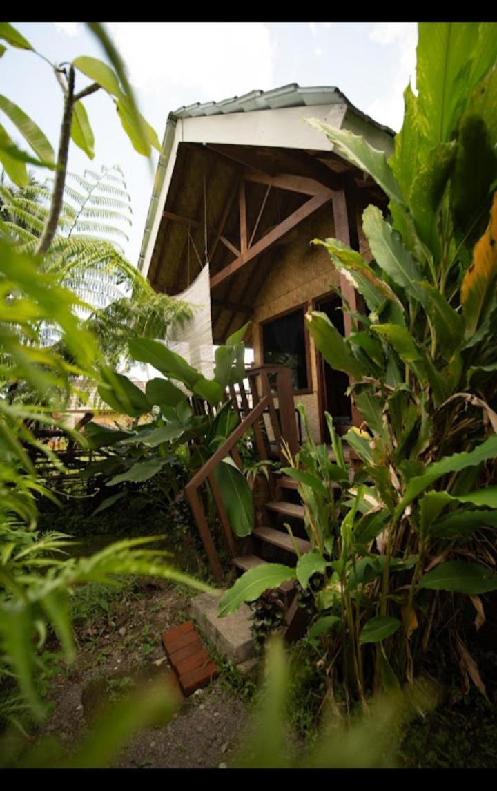 Citra Homestay Tetebatu Kültér fotó