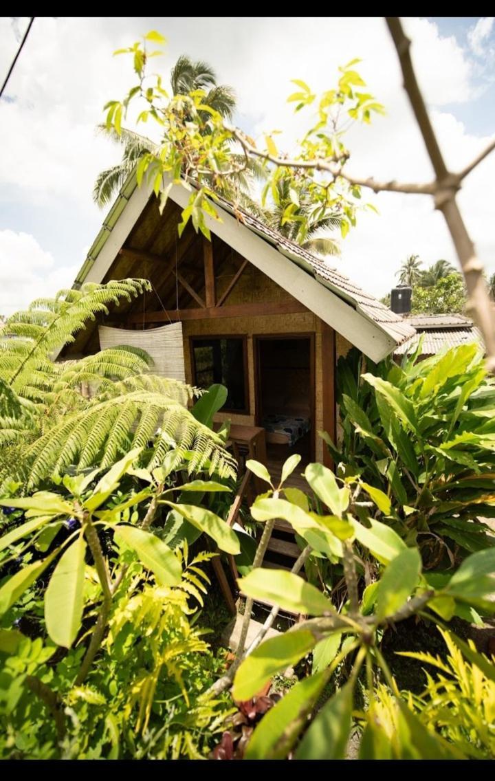Citra Homestay Tetebatu Kültér fotó
