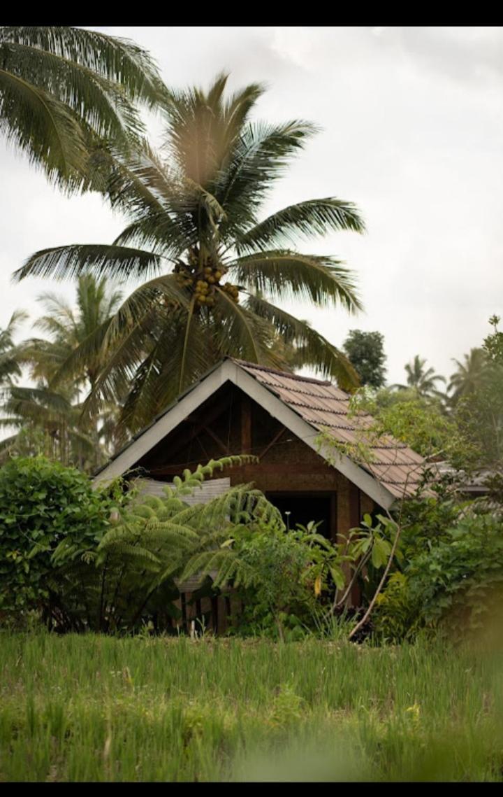 Citra Homestay Tetebatu Kültér fotó